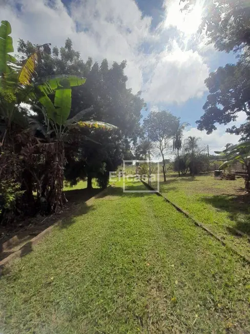 Foto 6 de Chácara com 1 quarto à venda, 2573m2 em Jardim Leste, Sao Jose Do Rio Preto - SP