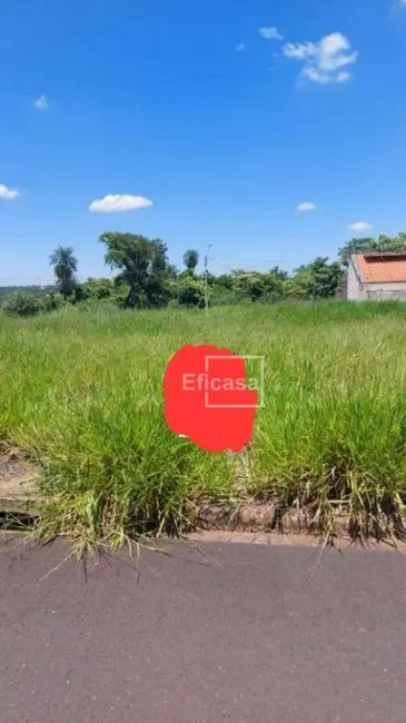 Terreno / Lote à venda, 250m2 em Sao Jose Do Rio Preto - SP - imagem 1 Foto 1 de Terreno / Lote à venda, 250m2 em Sao Jose Do Rio Preto - SP