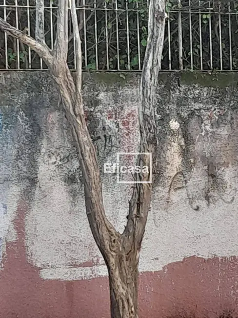 Terreno / Lote à venda, 1400m2 em Jardim Paulista, Sao Jose Do Rio Preto - SP - imagem 2 Foto 2 de Terreno / Lote à venda, 1400m2 em Jardim Paulista, Sao Jose Do Rio Preto - SP