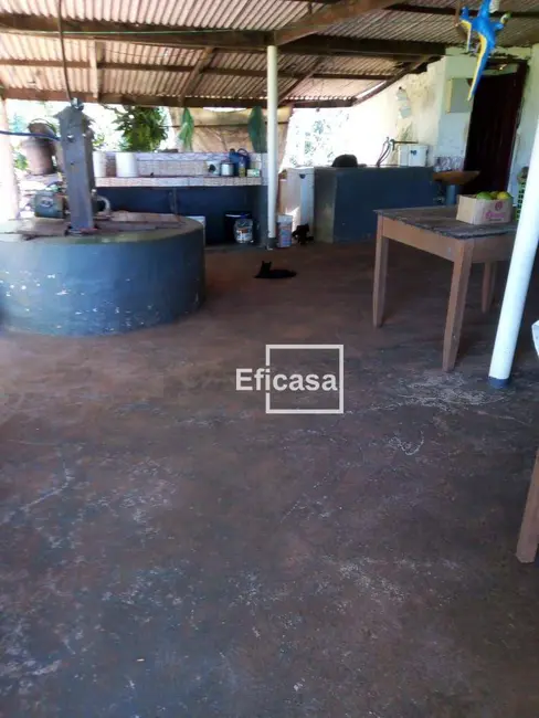 Foto 8 de Sítio / Rancho com 3 quartos à venda, 180000m2 em Mirassol - SP