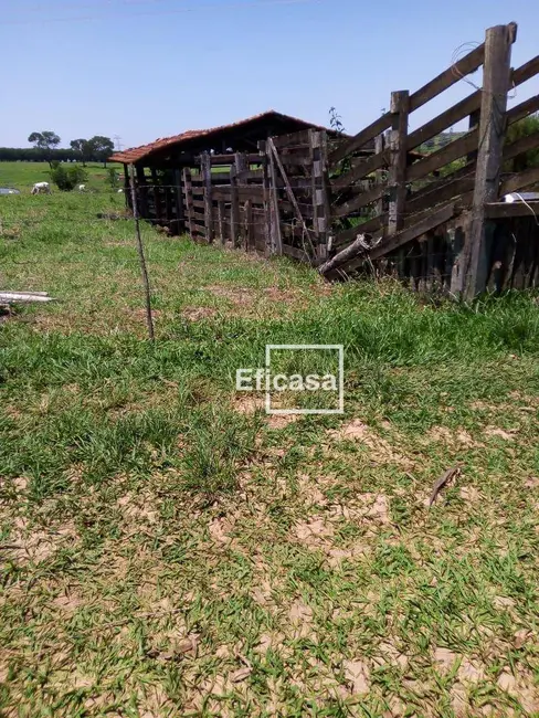 Foto 5 de Sítio / Rancho com 3 quartos à venda, 180000m2 em Mirassol - SP
