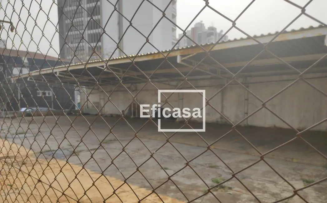 Terreno / Lote à venda, 360m2 em Jardim Europa, Sao Jose Do Rio Preto - SP - imagem 3 Foto 3 de Terreno / Lote à venda, 360m2 em Jardim Europa, Sao Jose Do Rio Preto - SP