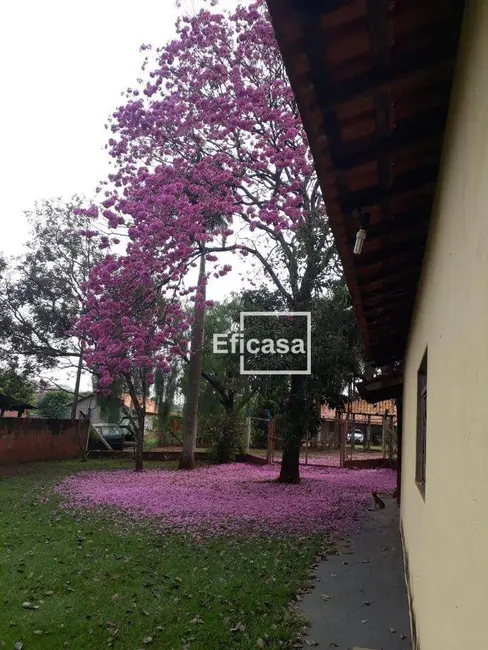 Foto 1 de Chácara com 3 quartos à venda, 2000m2 em Estância Verão (Zona Rural), Sao Jose Do Rio Preto - SP