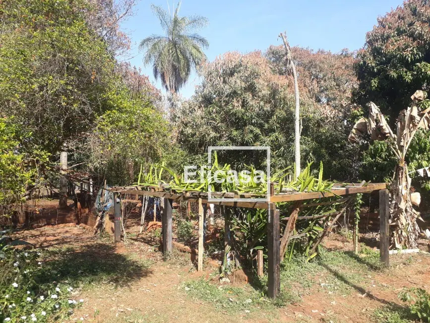 Foto 6 de Chácara com 3 quartos à venda, 2000m2 em Estância Verão (Zona Rural), Sao Jose Do Rio Preto - SP