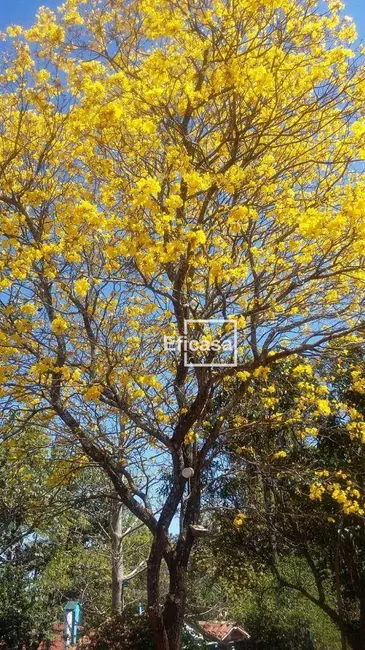 Foto 3 de Chácara com 3 quartos à venda, 2000m2 em Estância Verão (Zona Rural), Sao Jose Do Rio Preto - SP