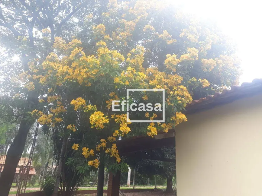 Foto 5 de Chácara com 3 quartos à venda, 2000m2 em Estância Verão (Zona Rural), Sao Jose Do Rio Preto - SP