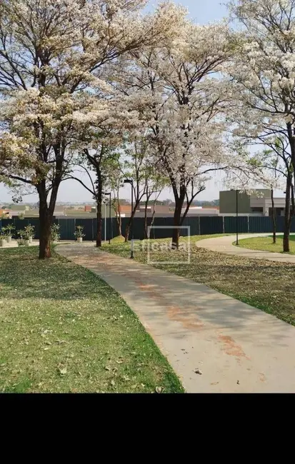 Casa de Condomínio com 2 quartos à venda, 253m2 em Centro, Bady Bassitt - SP - imagem 5 Foto 5 de Casa de Condomínio com 2 quartos à venda, 253m2 em Centro, Bady Bassitt - SP