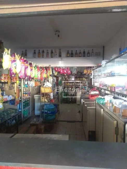 Foto 8 de Casa com 2 quartos à venda, 243m2 em Solo Sagrado I, Sao Jose Do Rio Preto - SP