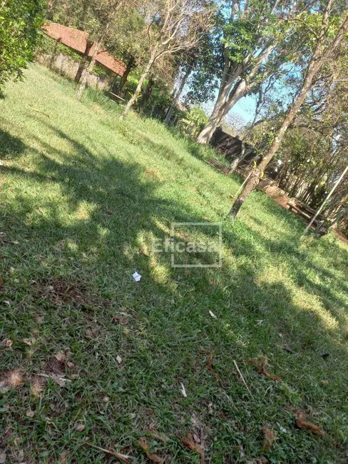 Foto 8 de Chácara com 3 quartos à venda, 6000m2 em Estância Jóckei Club, Sao Jose Do Rio Preto - SP