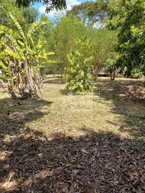 Foto 7 de Chácara com 3 quartos à venda, 6000m2 em Estância Jóckei Club, Sao Jose Do Rio Preto - SP