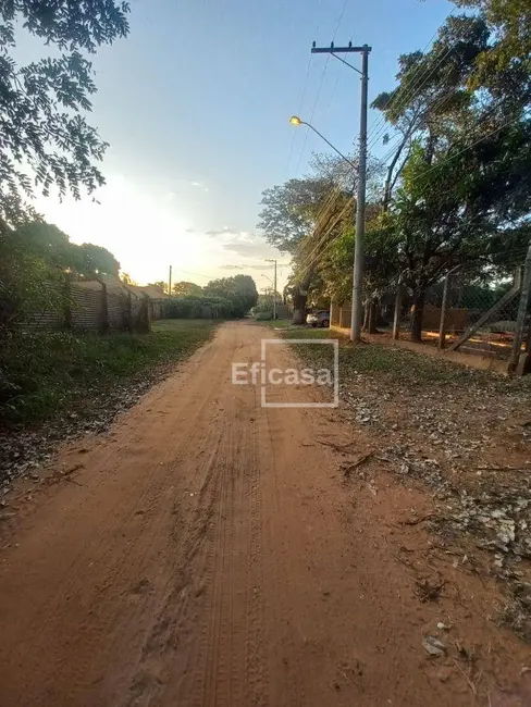 Foto 9 de Chácara com 3 quartos à venda, 6000m2 em Estância Jóckei Club, Sao Jose Do Rio Preto - SP