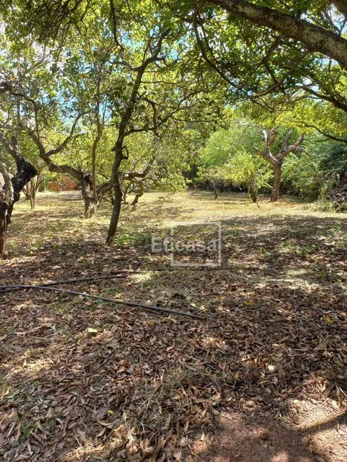 Foto 6 de Chácara com 3 quartos à venda, 6000m2 em Estância Jóckei Club, Sao Jose Do Rio Preto - SP