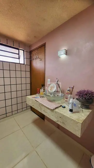 Foto 3 de Chácara com 3 quartos à venda, 6000m2 em Estância Jóckei Club, Sao Jose Do Rio Preto - SP