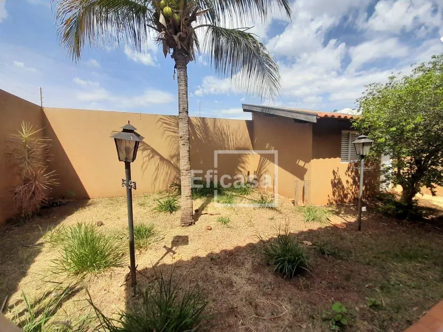 Foto 5 de Casa com 2 quartos para alugar, 360m2 em Jardim Yolanda, Sao Jose Do Rio Preto - SP