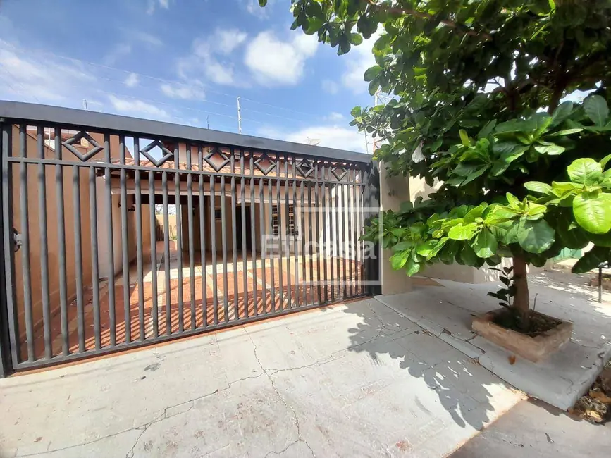 Foto 4 de Casa com 2 quartos para alugar, 360m2 em Jardim Yolanda, Sao Jose Do Rio Preto - SP