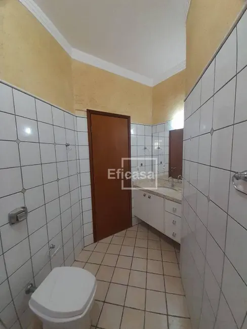 Foto 8 de Casa com 2 quartos para alugar, 360m2 em Jardim Yolanda, Sao Jose Do Rio Preto - SP