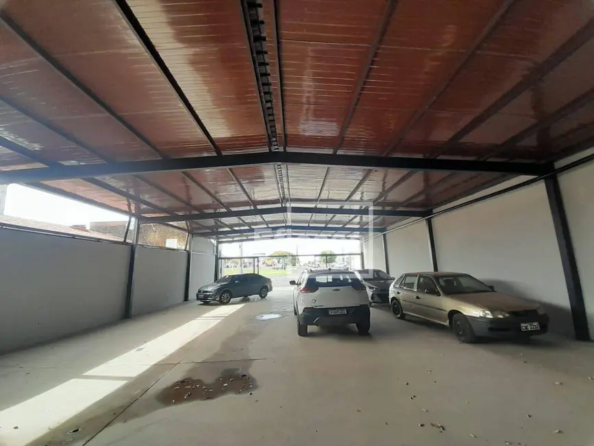 Foto 7 de Sala Comercial para alugar, 300m2 em Mirassol - SP