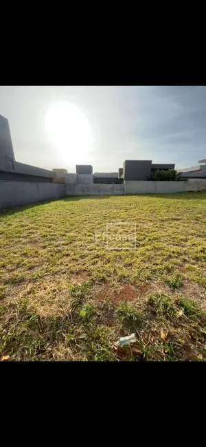 Foto 2 de Terreno / Lote à venda, 253m2 em Mirassol - SP