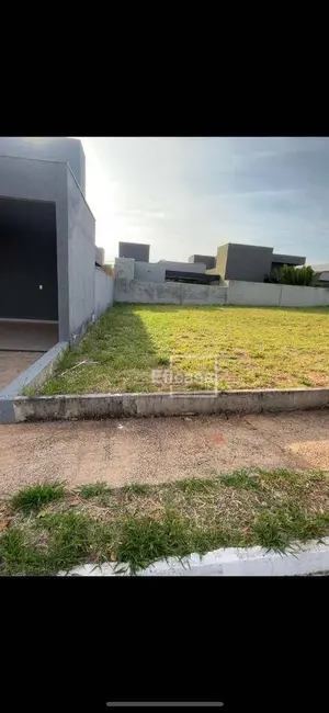 Foto 3 de Terreno / Lote à venda, 253m2 em Mirassol - SP