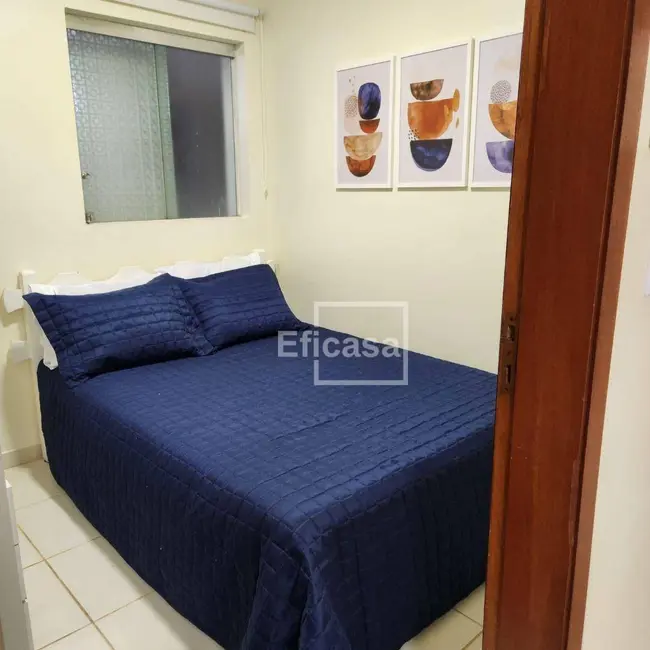 Casa com 2 quartos para alugar, 200m2 em Parque Quinta das Paineiras, Sao Jose Do Rio Preto - SP - imagem 8 Foto 8 de Casa com 2 quartos para alugar, 200m2 em Parque Quinta das Paineiras, Sao Jose Do Rio Preto - SP