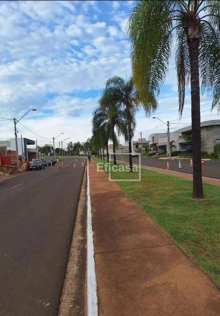 Foto 2 de Terreno / Lote à venda, 253m2 em Residencial Maria Júlia, Sao Jose Do Rio Preto - SP