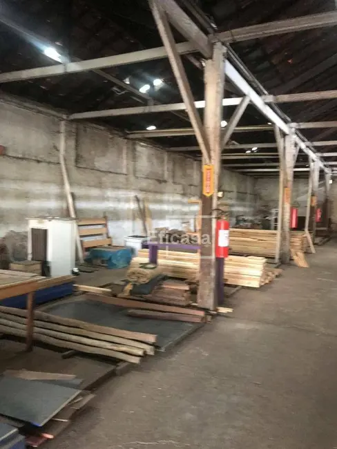 Foto 6 de Sala Comercial para alugar, 1000m2 em Vila Maceno, Sao Jose Do Rio Preto - SP