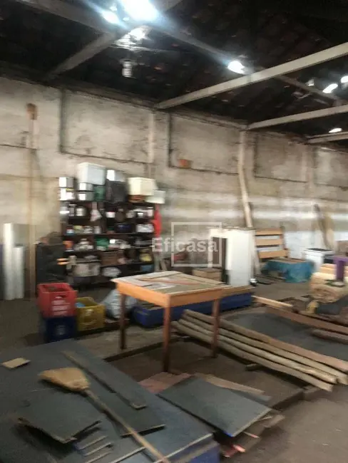 Foto 7 de Sala Comercial para alugar, 1000m2 em Vila Maceno, Sao Jose Do Rio Preto - SP