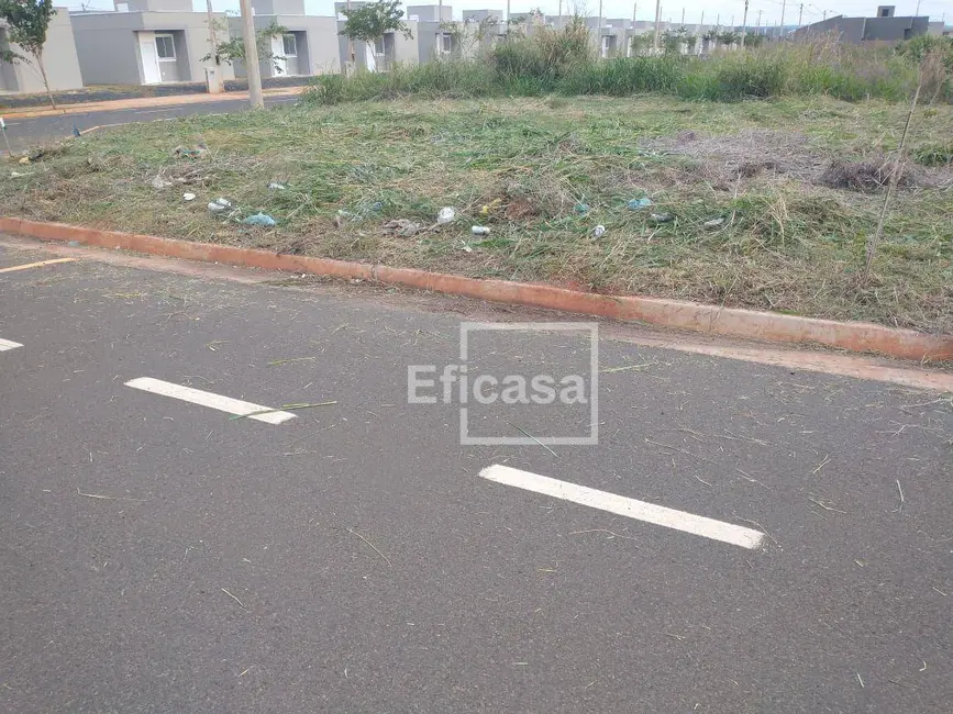 Foto 6 de Terreno / Lote à venda, 202m2 em Centro, Sao Jose Do Rio Preto - SP