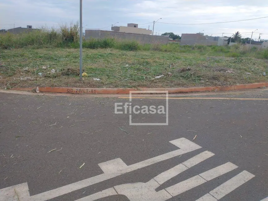 Foto 8 de Terreno / Lote à venda, 202m2 em Centro, Sao Jose Do Rio Preto - SP