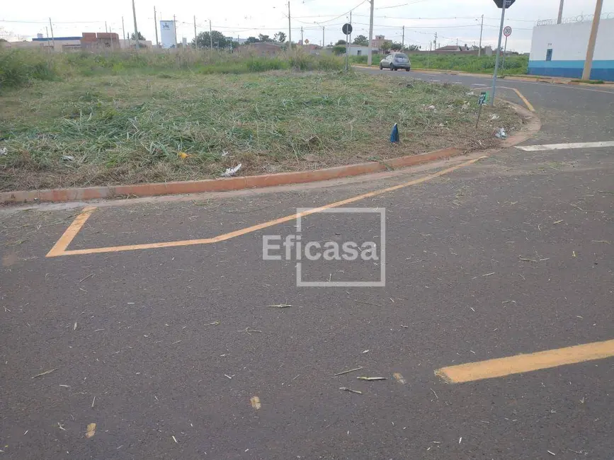 Foto 3 de Terreno / Lote à venda, 202m2 em Centro, Sao Jose Do Rio Preto - SP
