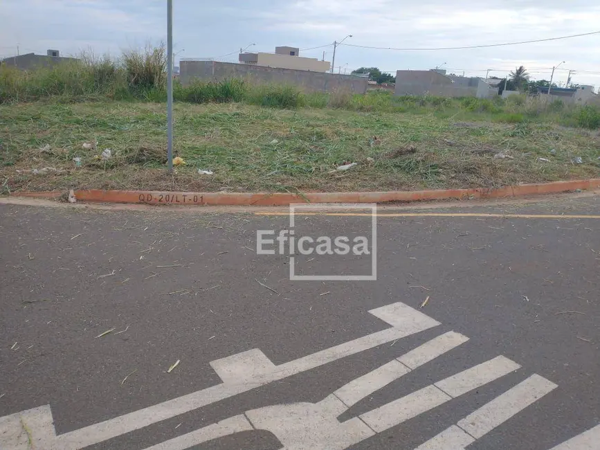Foto 4 de Terreno / Lote à venda, 202m2 em Centro, Sao Jose Do Rio Preto - SP