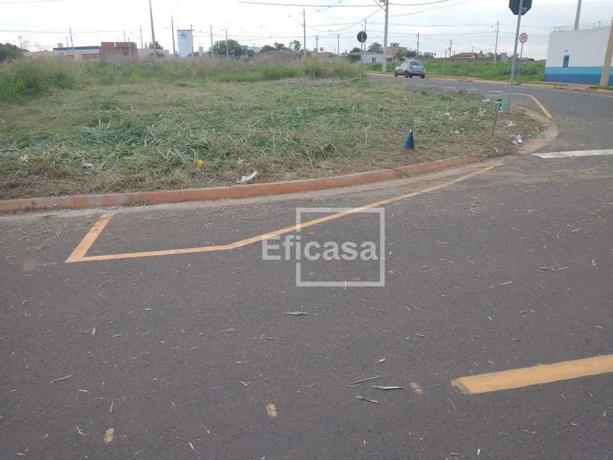 Foto 1 de Terreno / Lote à venda, 202m2 em Centro, Sao Jose Do Rio Preto - SP