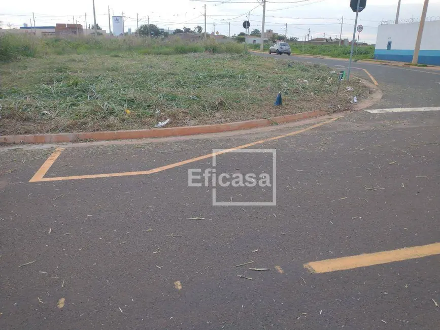 Foto 5 de Terreno / Lote à venda, 202m2 em Centro, Sao Jose Do Rio Preto - SP