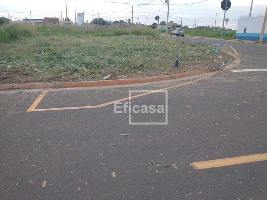 Foto 7 de Terreno / Lote à venda, 202m2 em Centro, Sao Jose Do Rio Preto - SP