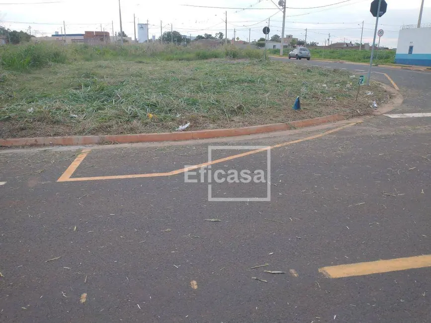 Foto 2 de Terreno / Lote à venda, 202m2 em Centro, Sao Jose Do Rio Preto - SP