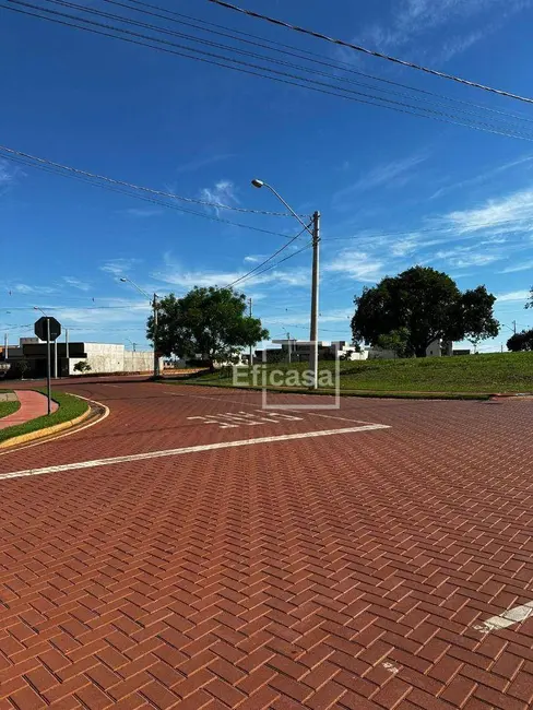 Foto 5 de Terreno / Lote à venda, 200m2 em Mirassol - SP