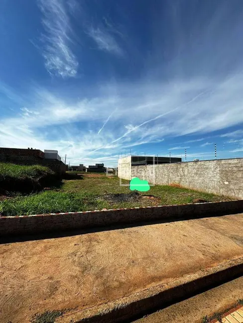 Foto 1 de Terreno / Lote à venda, 200m2 em Mirassol - SP