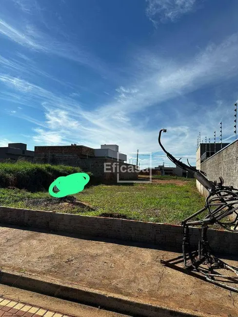 Foto 3 de Terreno / Lote à venda, 200m2 em Mirassol - SP