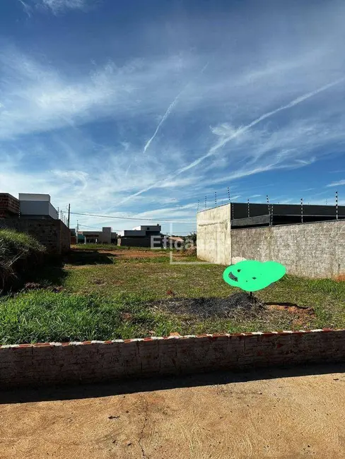 Foto 4 de Terreno / Lote à venda, 200m2 em Mirassol - SP