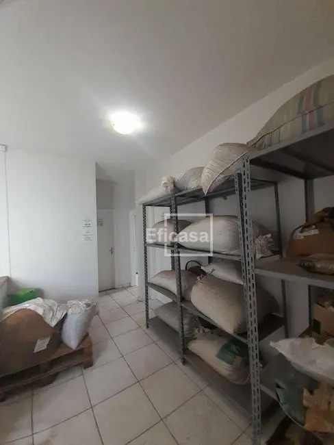 Foto 8 de Casa à venda e para alugar, 360m2 em Vila Nossa Senhora da Paz, Sao Jose Do Rio Preto - SP