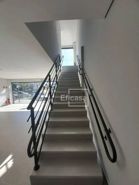Sala Comercial para alugar, 300m2 em Vila São José, Sao Jose Do Rio Preto - SP - imagem 4 Foto 4 de Sala Comercial para alugar, 300m2 em Vila São José, Sao Jose Do Rio Preto - SP