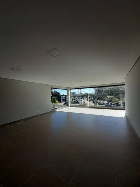 Sala Comercial para alugar, 300m2 em Vila São José, Sao Jose Do Rio Preto - SP - imagem 7 Foto 7 de Sala Comercial para alugar, 300m2 em Vila São José, Sao Jose Do Rio Preto - SP