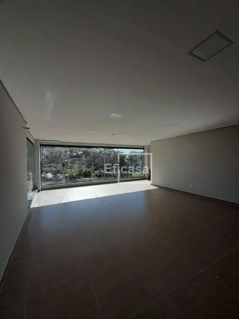 Sala Comercial para alugar, 300m2 em Vila São José, Sao Jose Do Rio Preto - SP - imagem 9 Foto 9 de Sala Comercial para alugar, 300m2 em Vila São José, Sao Jose Do Rio Preto - SP