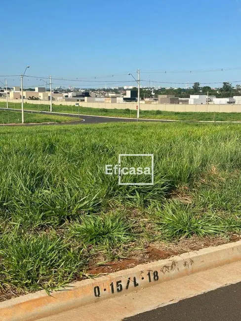 Foto 2 de Casa de Condomínio com 3 quartos à venda, 300m2 em Sao Jose Do Rio Preto - SP