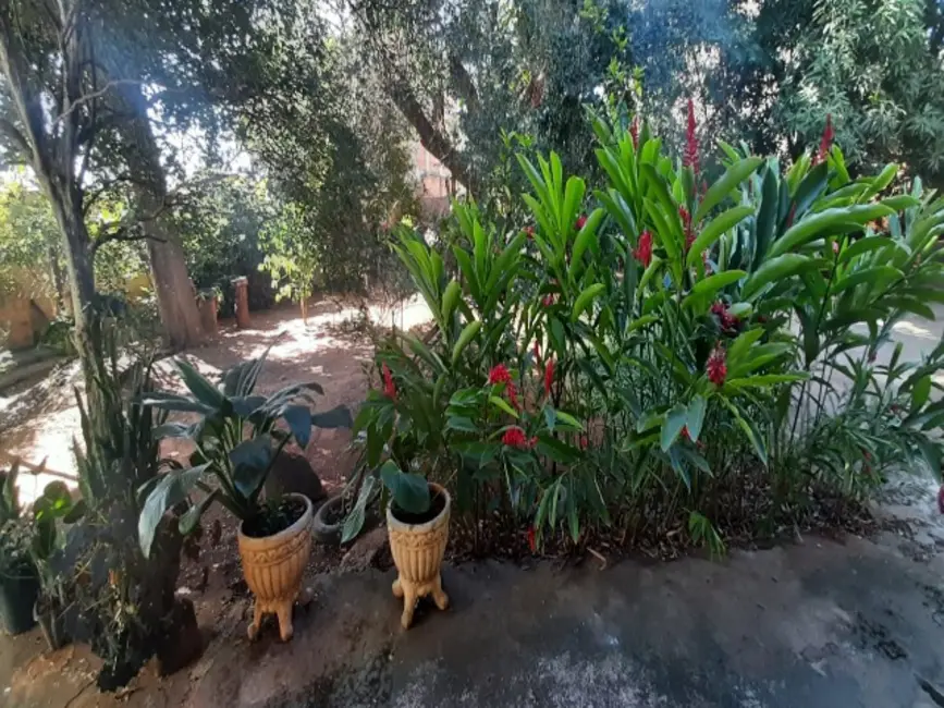 Casa com 3 quartos para alugar, 290m2 em Loteamento Morro de Ouro, Mogi Guacu - SP - imagem 2 Foto 2 de Casa com 3 quartos para alugar, 290m2 em Loteamento Morro de Ouro, Mogi Guacu - SP