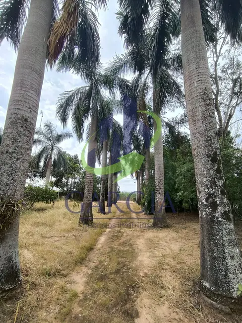 Foto 3 de Chácara com 3 quartos à venda, 78m2 em Martinho Prado Júnior, Mogi Guacu - SP