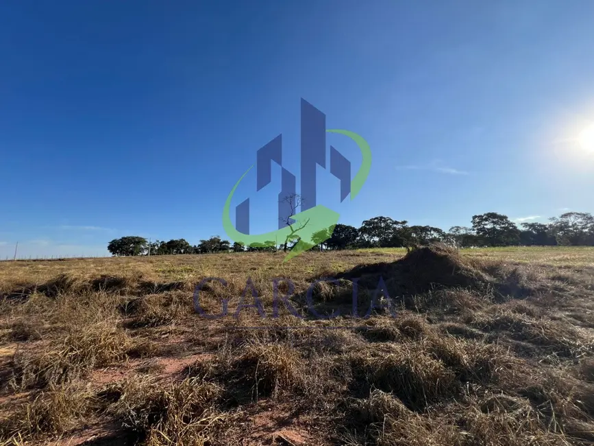 Foto 4 de Terreno / Lote à venda, 23200m2 em Mogi Mirim - SP