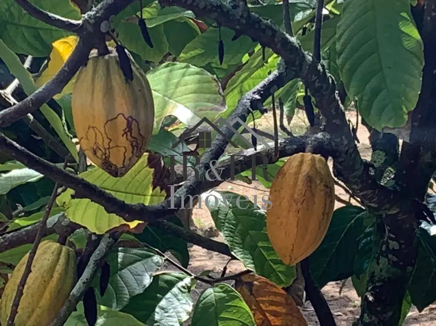 Foto 2 de Chácara com 3 quartos à venda, 200m2 em Camacari - BA
