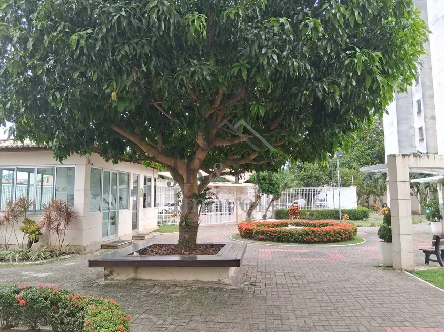 Apartamento com 3 quartos à venda, 90m2 em Buraquinho, Lauro De Freitas - BA - imagem 6 Foto 6 de Apartamento com 3 quartos à venda, 90m2 em Buraquinho, Lauro De Freitas - BA