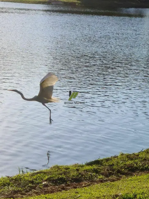 Foto 8 de Terreno / Lote à venda, 1260m2 em Pinhal, Cabreuva - SP